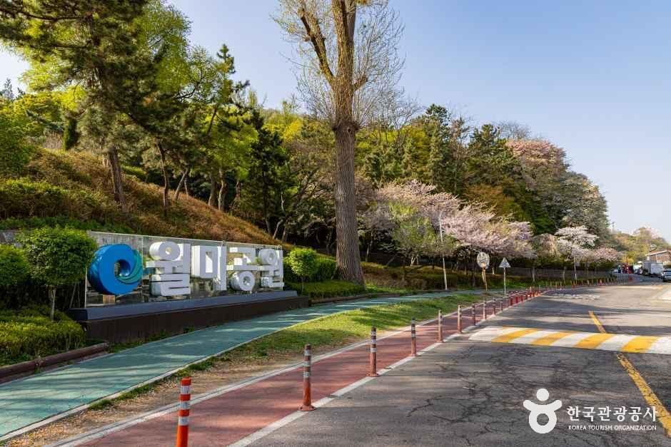 월미산 공식 관광자료 제공 사진 실제 사진