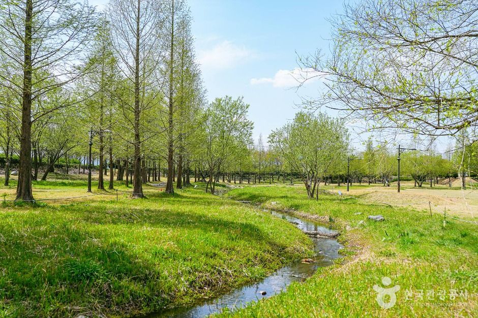 신라왕경숲 공식 관광자료 제공 사진 실제 사진