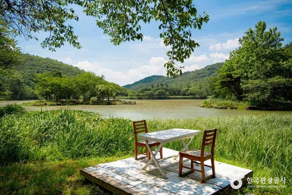 화랑의 언덕 공식 관광자료 제공 사진 실제 사진