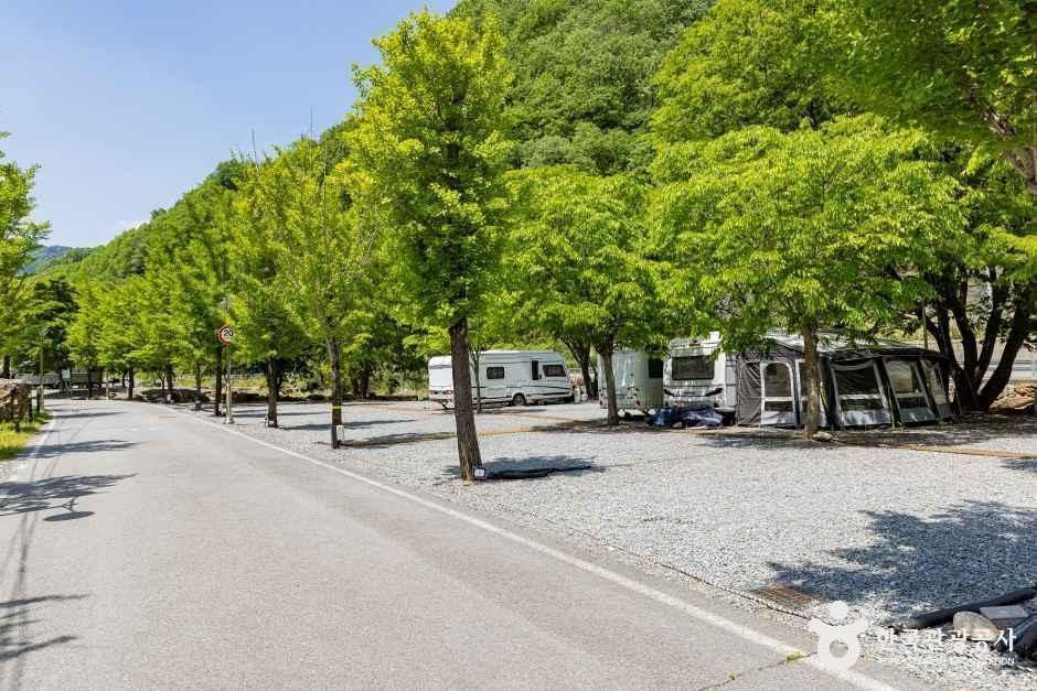 옥전캠핑장 공식 관광자료 제공 사진 실제 사진