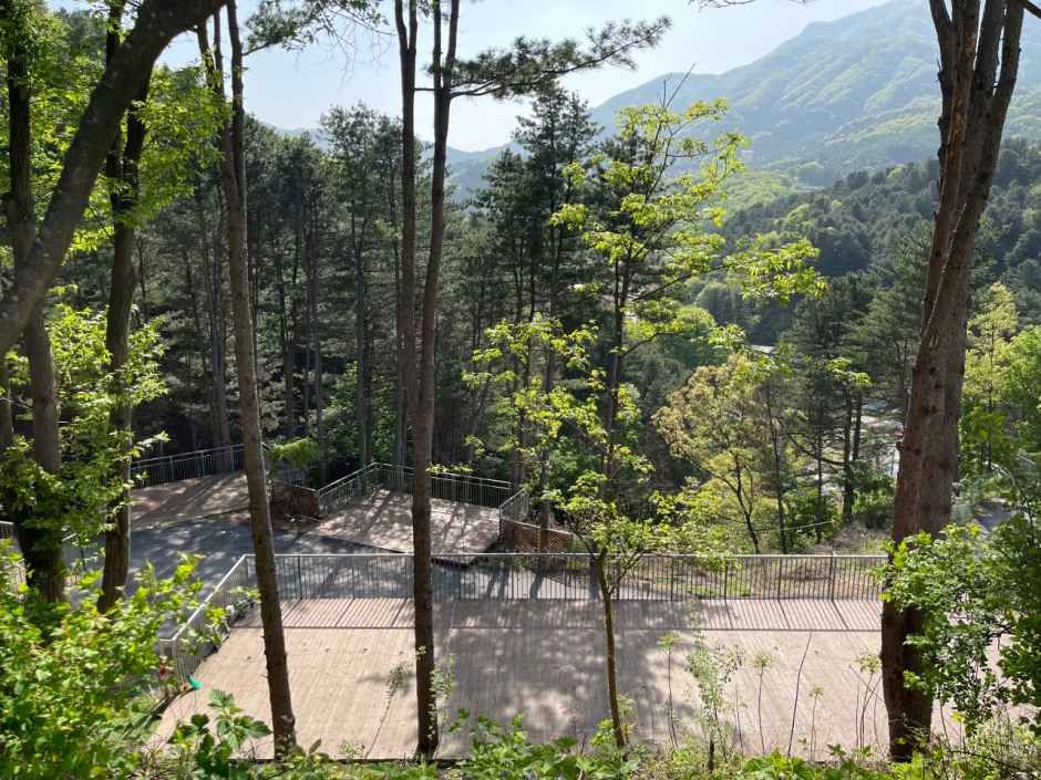 가평무릉도원캠핑장 공식 관광자료 제공 사진 실제 사진