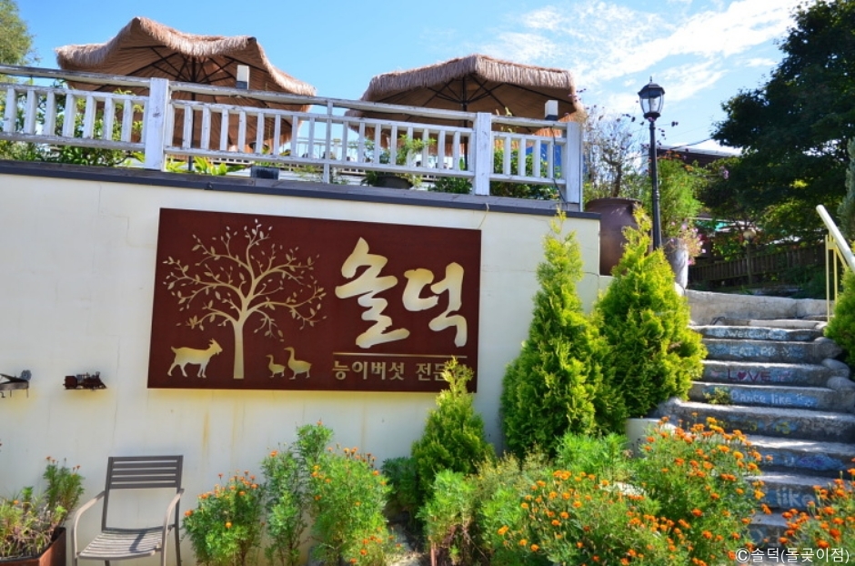 솔덕 돌곶이점 공식 관광자료 제공 사진 실제 사진