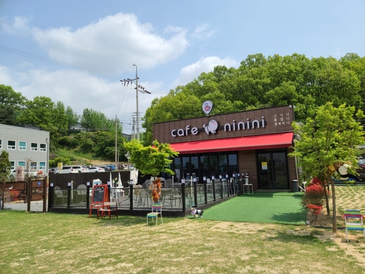 카페 니니니 공식 관광자료 제공 사진 실제 사진