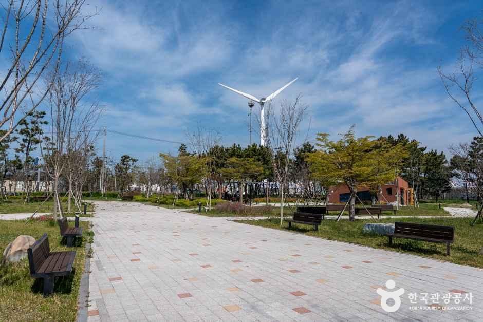 대부도공원 공식 관광자료 제공 사진 실제 사진