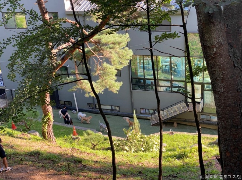 푼타하우스 공식 관광자료 제공 사진 실제 사진