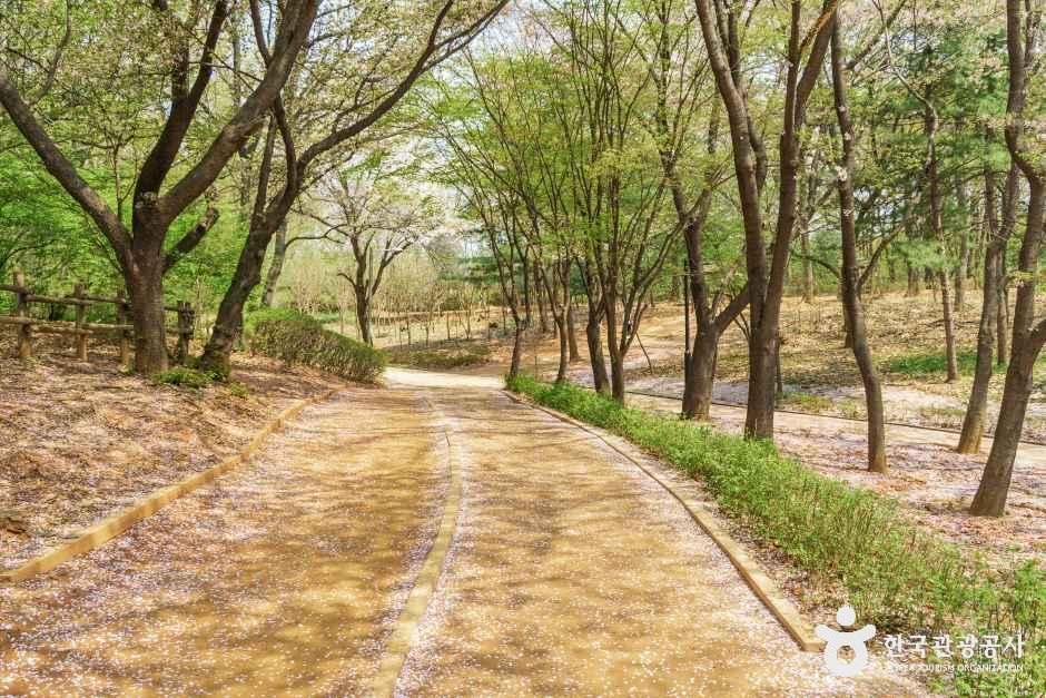 성저공원 공식 관광자료 제공 사진 실제 사진