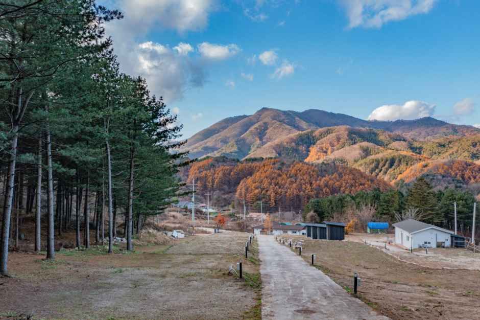 모짜르트 공식 관광자료 제공 사진 실제 사진