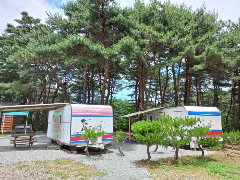 양양 솔바다 캠핑장 공식 관광자료 제공 사진 실제 사진