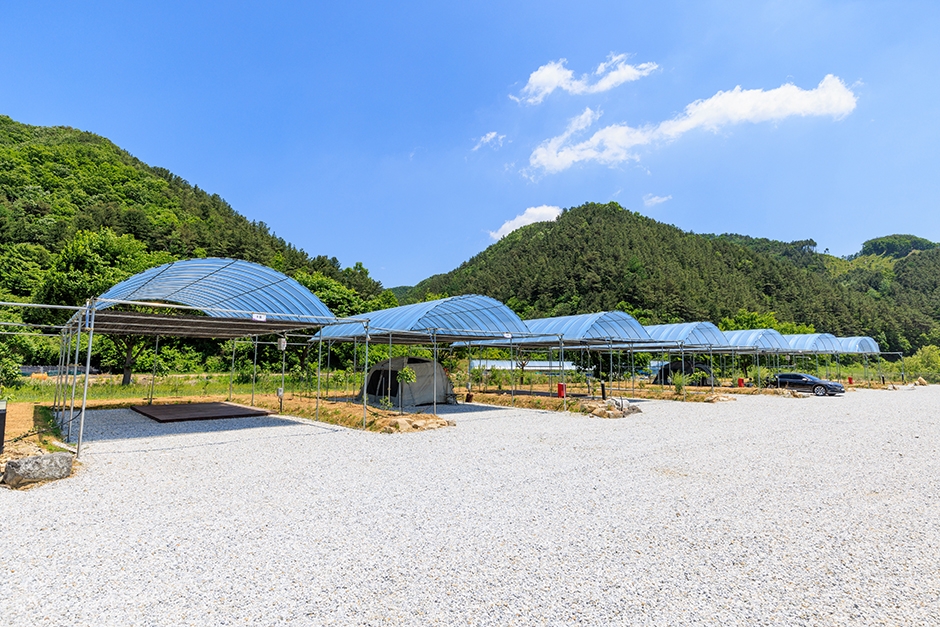 진악산오토캠핑장 공식 관광자료 제공 사진 실제 사진