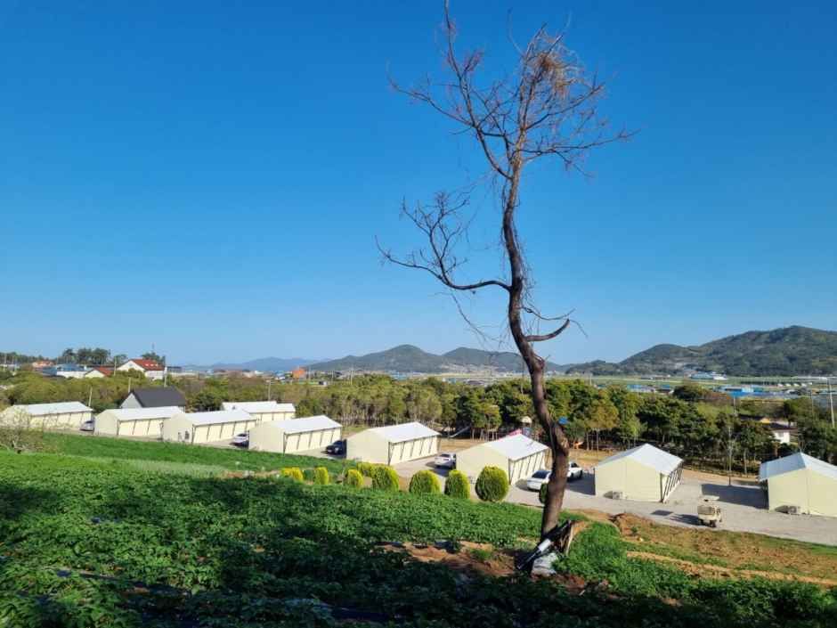 땡땡이글램핑 공식 관광자료 제공 사진 실제 사진