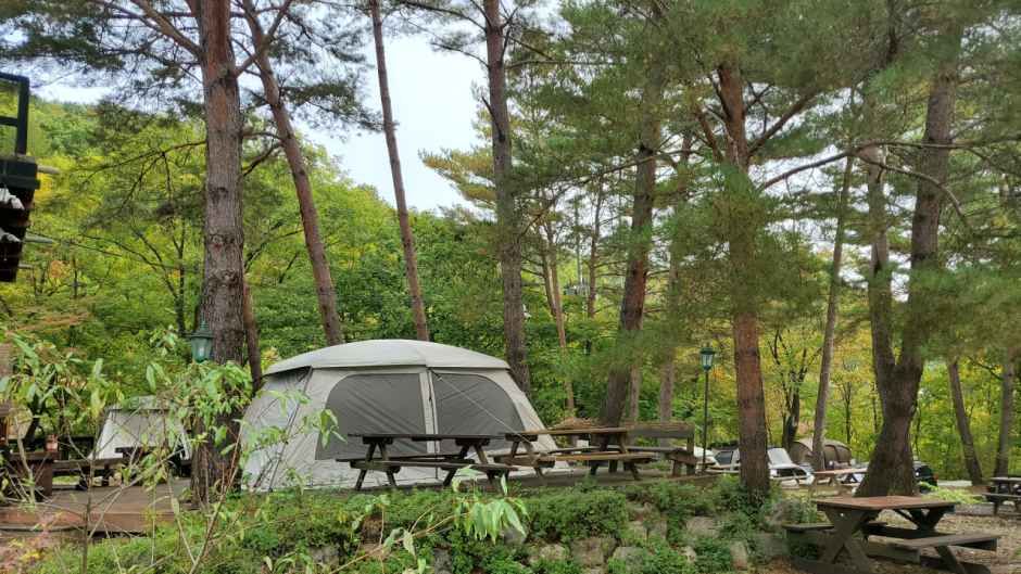 평창하늘캠핑장 공식 관광자료 제공 사진 실제 사진