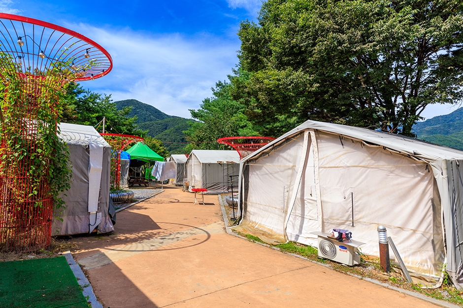 젠틀펫파라다이스 공식 관광자료 제공 사진 실제 사진