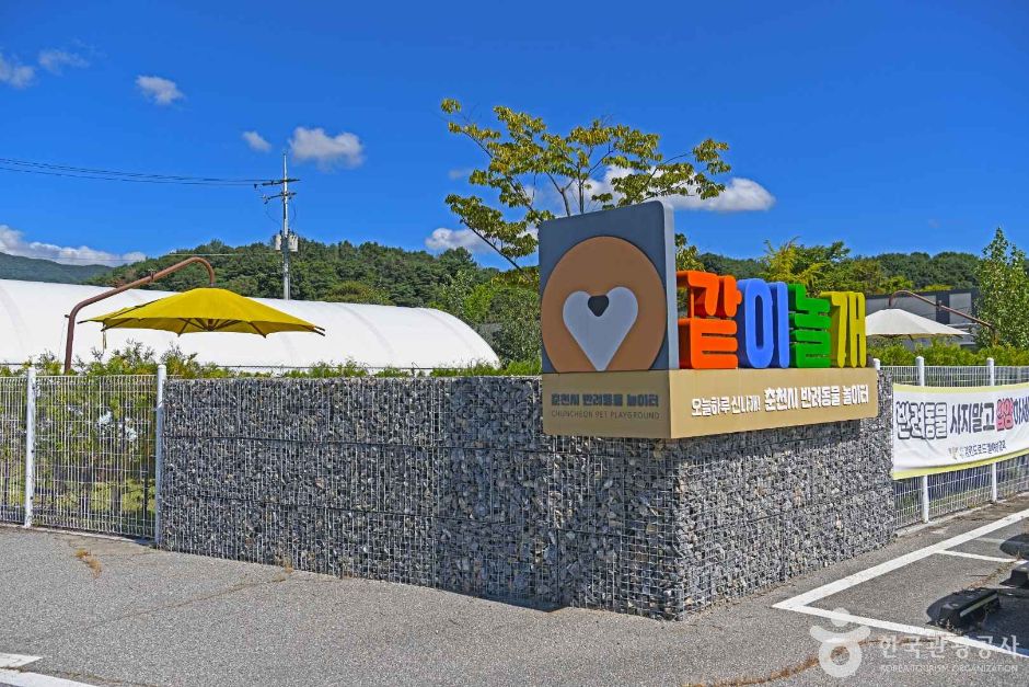 춘천시 반려견놀이터 같이놀개 공식 관광자료 제공 사진 실제 사진