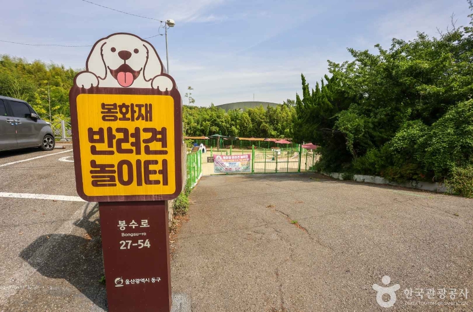 봉화재 반려견 놀이터 공식 관광자료 제공 사진 실제 사진
