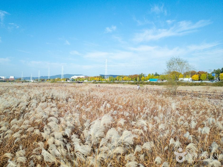 대명유수지 공식 관광자료 제공 사진 실제 사진