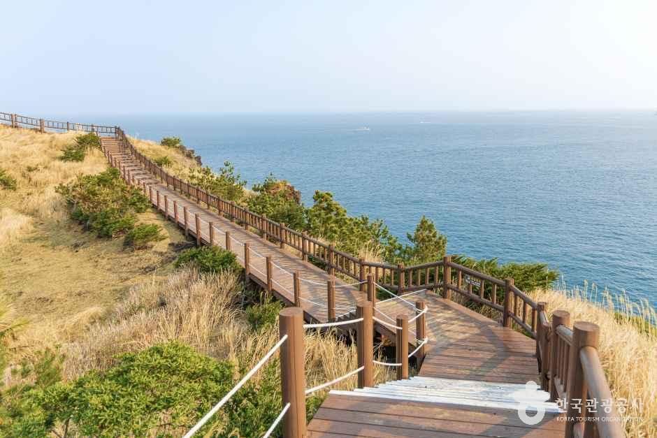 송악산둘레길 공식 관광자료 제공 사진 실제 사진