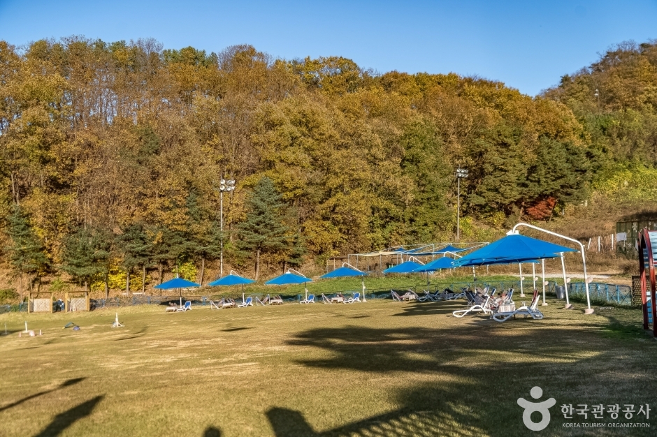 양지파인펫파크 공식 관광자료 제공 사진 실제 사진