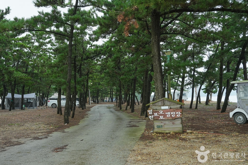 벌천포오토캠핑장 공식 관광자료 제공 사진 실제 사진