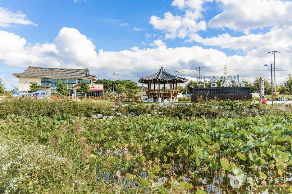 다송무지개매화마을 공식 관광자료 제공 사진 실제 사진