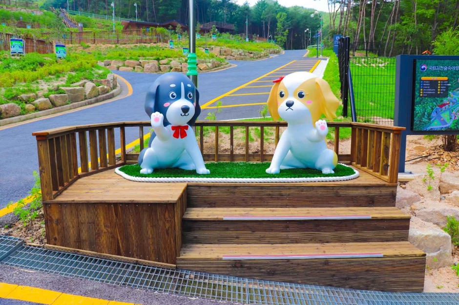 국립김천숲속야영장 공식 관광자료 제공 사진 실제 사진