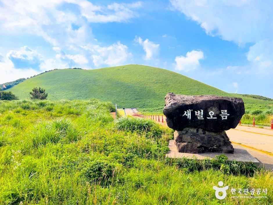 새별오름 공식 관광자료 제공 사진 실제 사진