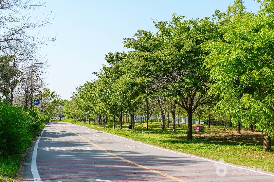 여의도한강공원 공식 관광자료 제공 사진 실제 사진