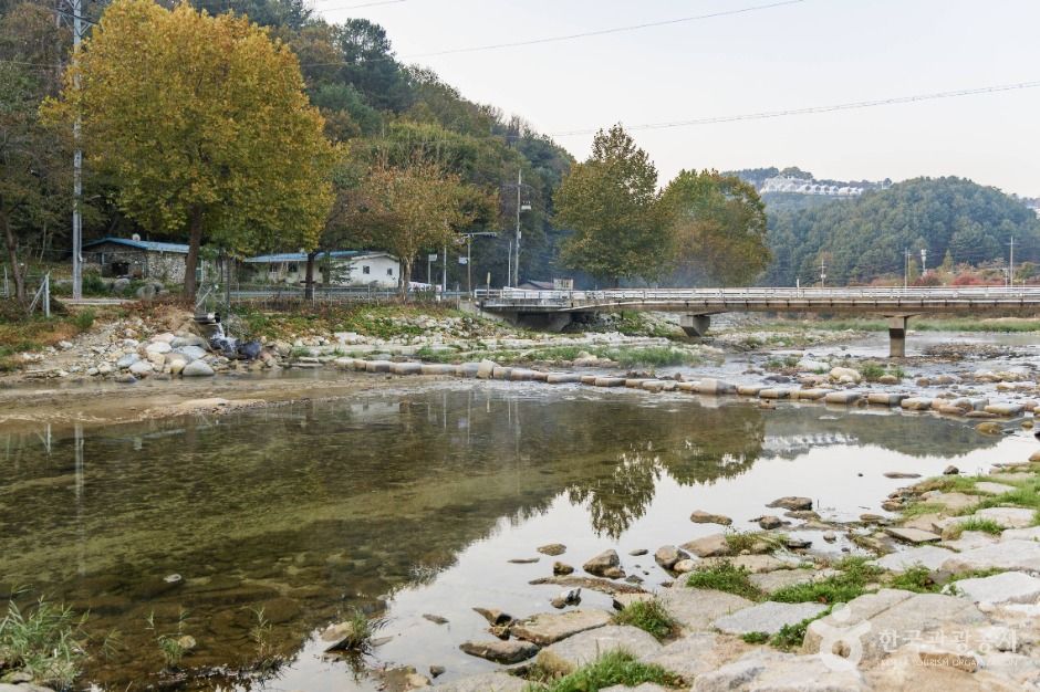 조종천계곡 장소 사진
