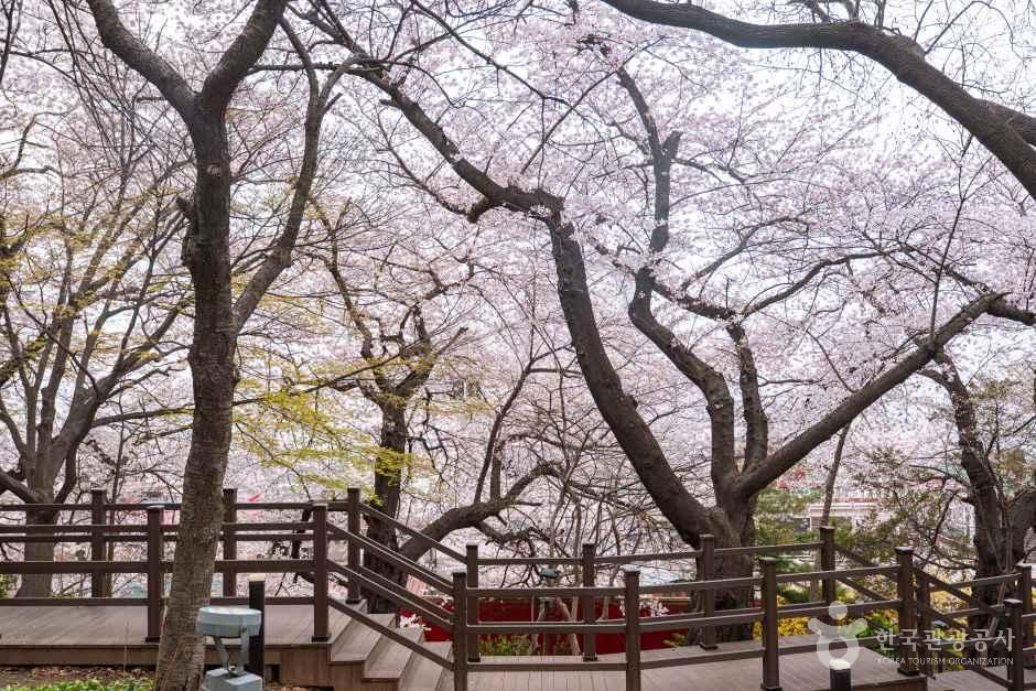 자유공원(인천) 공식 관광자료 제공 사진 실제 사진