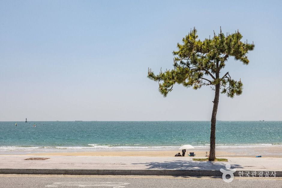 송정해수욕장 공식 관광자료 제공 사진 실제 사진