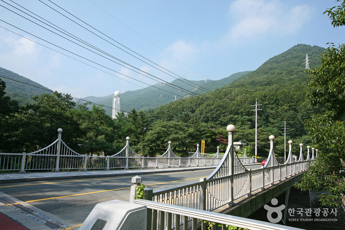 대구앞산공원 공식 관광자료 제공 사진 실제 사진