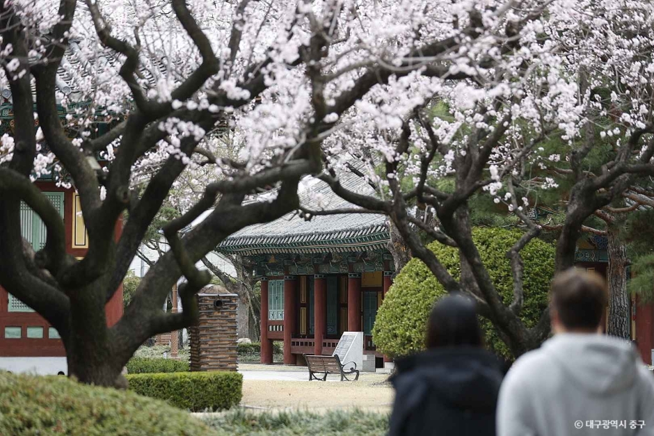 경상감영공원 장소 사진