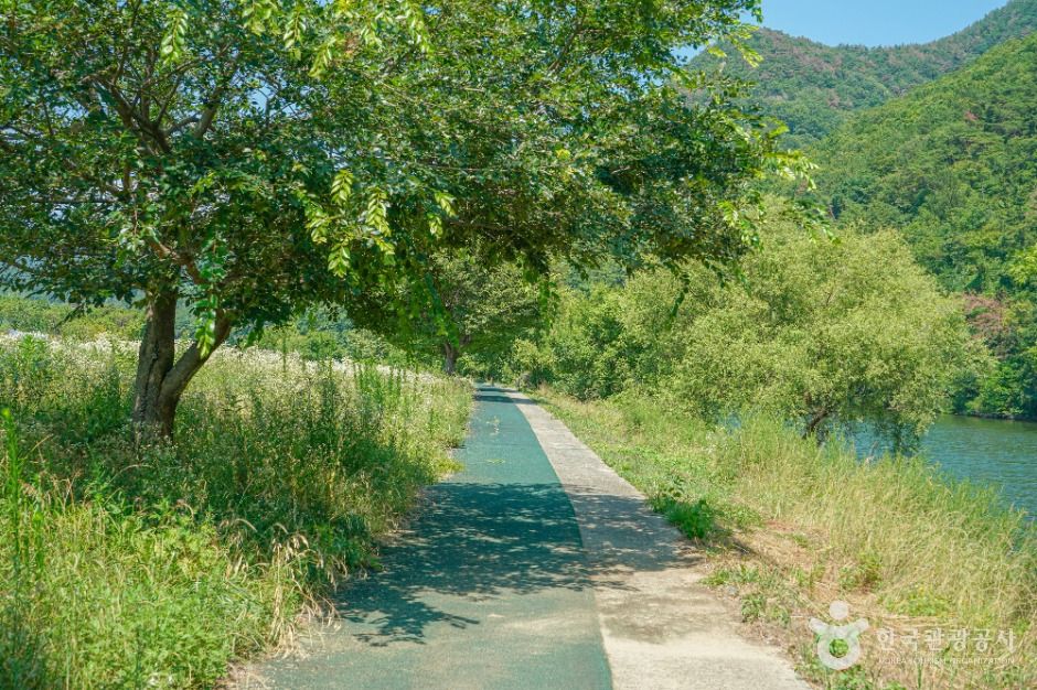 용두연유원지 공식 관광자료 제공 사진 실제 사진