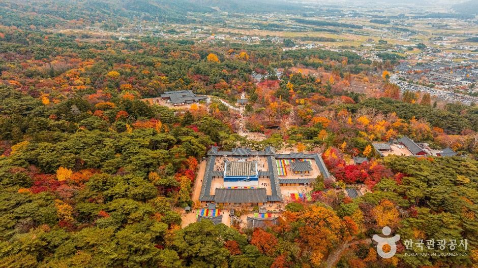 경주 불국사 [유네스코 세계유산] 장소 사진