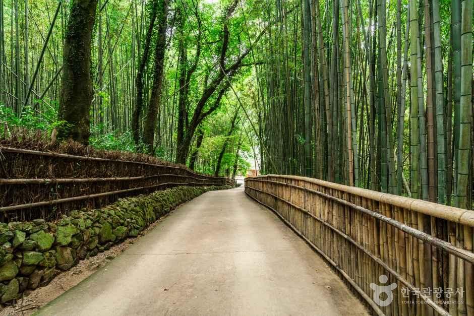 담양 소쇄원 공식 관광자료 제공 사진 실제 사진