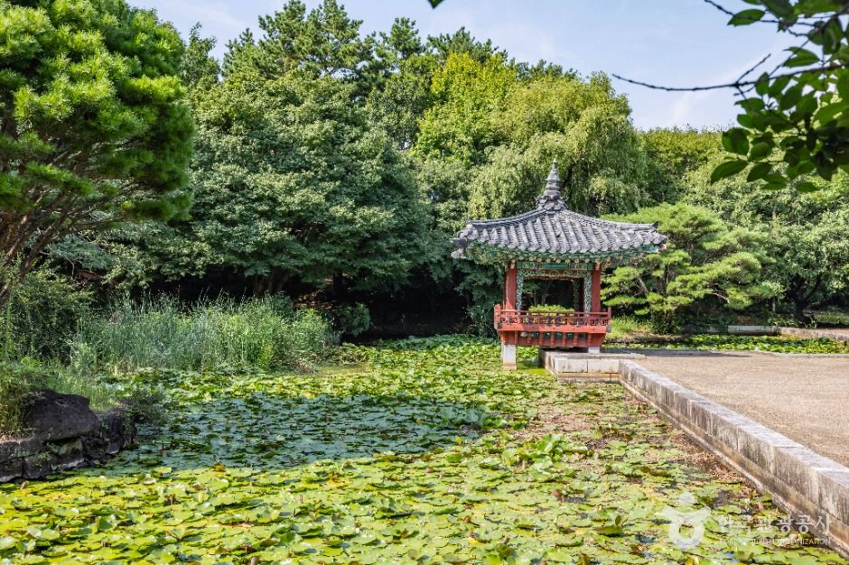여미지식물원 공식 관광자료 제공 사진 실제 사진