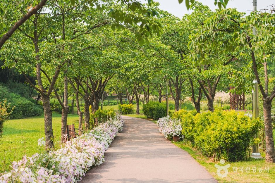 용산가족공원 공식 관광자료 제공 사진 실제 사진