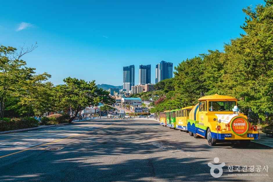 태종대 공식 관광자료 제공 사진 실제 사진