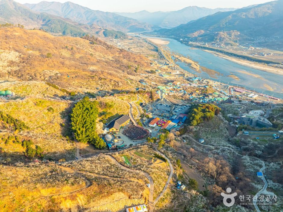 홍쌍리 청매실농원 공식 관광자료 제공 사진 실제 사진