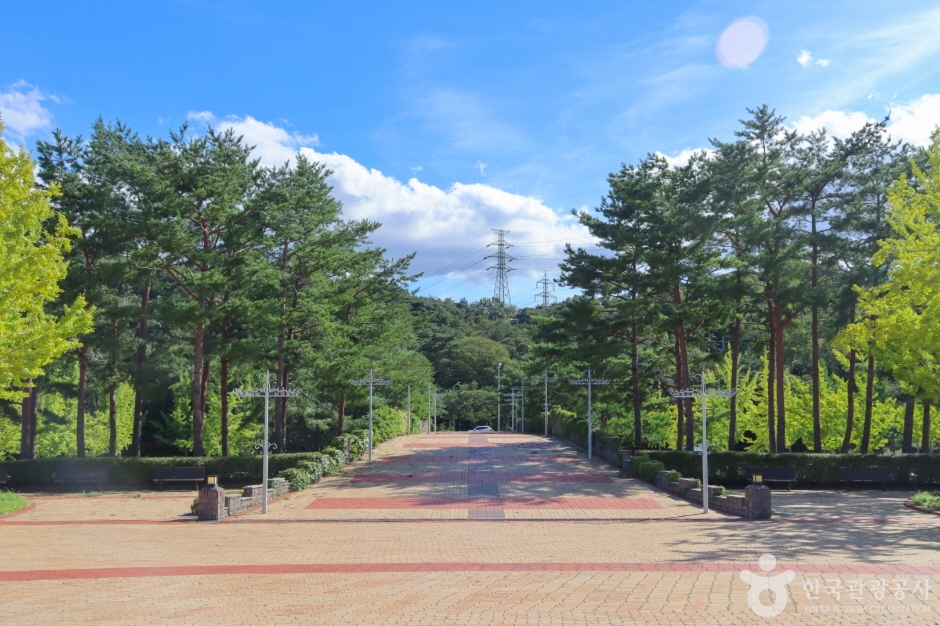 울산대공원 공식 관광자료 제공 사진 실제 사진