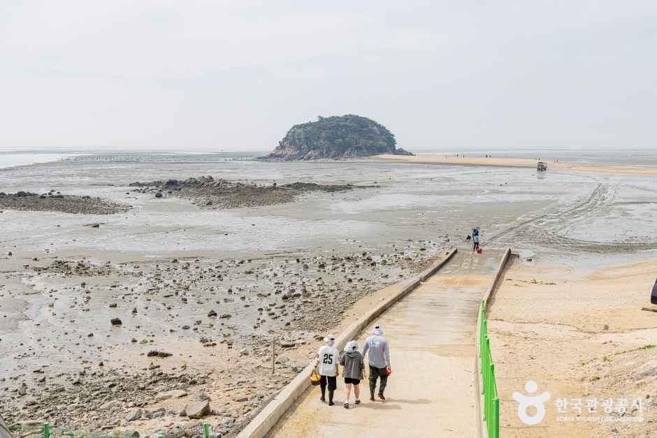 선재도(선재도 어촌체험마을) 공식 관광자료 제공 사진 실제 사진