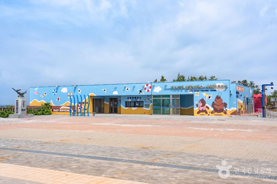 대천해수욕장 공식 관광자료 제공 사진 실제 사진