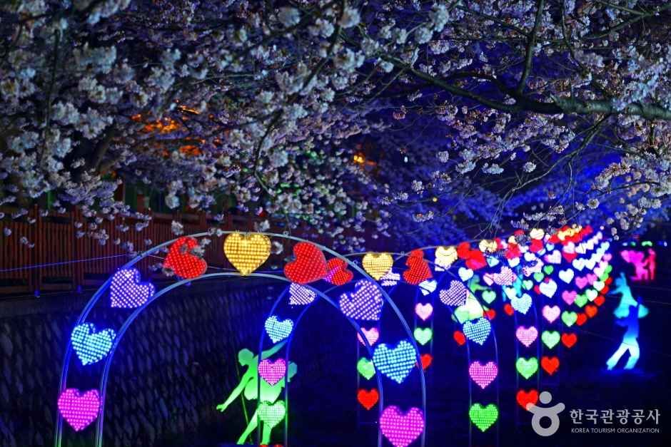 여좌천(여좌천로망스다리) 공식 관광자료 제공 사진 실제 사진