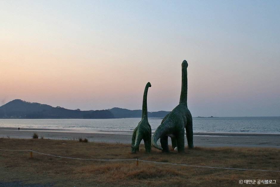 신두리해수욕장 장소 사진