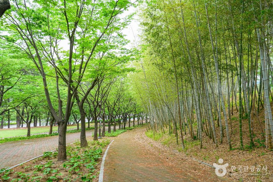 울산체육공원 공식 관광자료 제공 사진 실제 사진