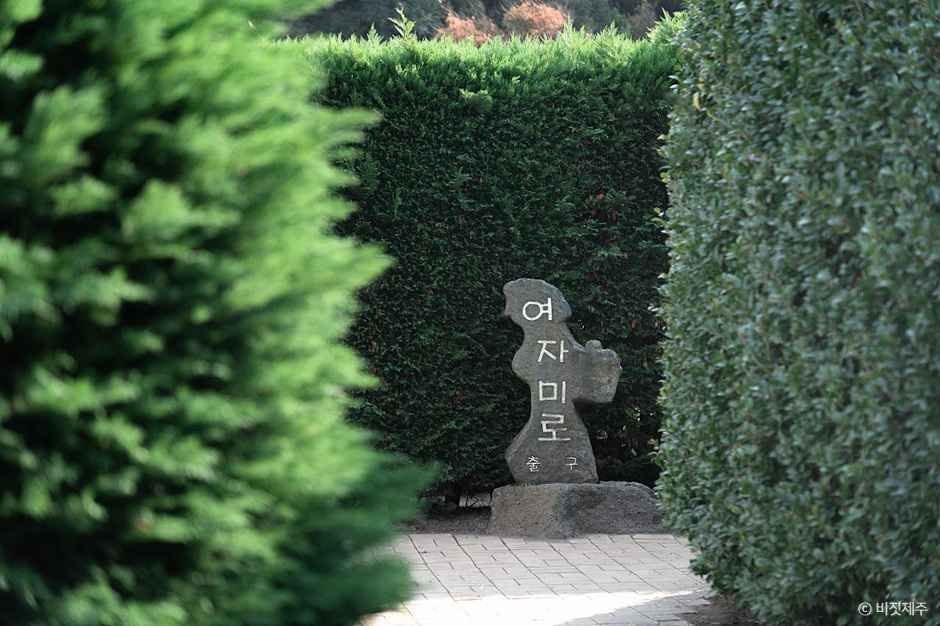 메이즈랜드 공식 관광자료 제공 사진 실제 사진