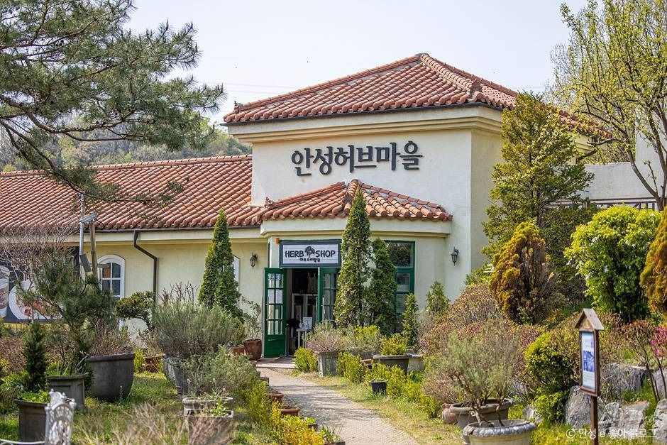 안성허브마을캠핑장 공식 관광자료 제공 사진 실제 사진