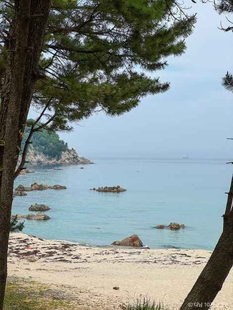 삼척 해양레일바이크 공식 관광자료 제공 사진 실제 사진