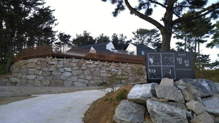 애견민박 멍집 장소 사진