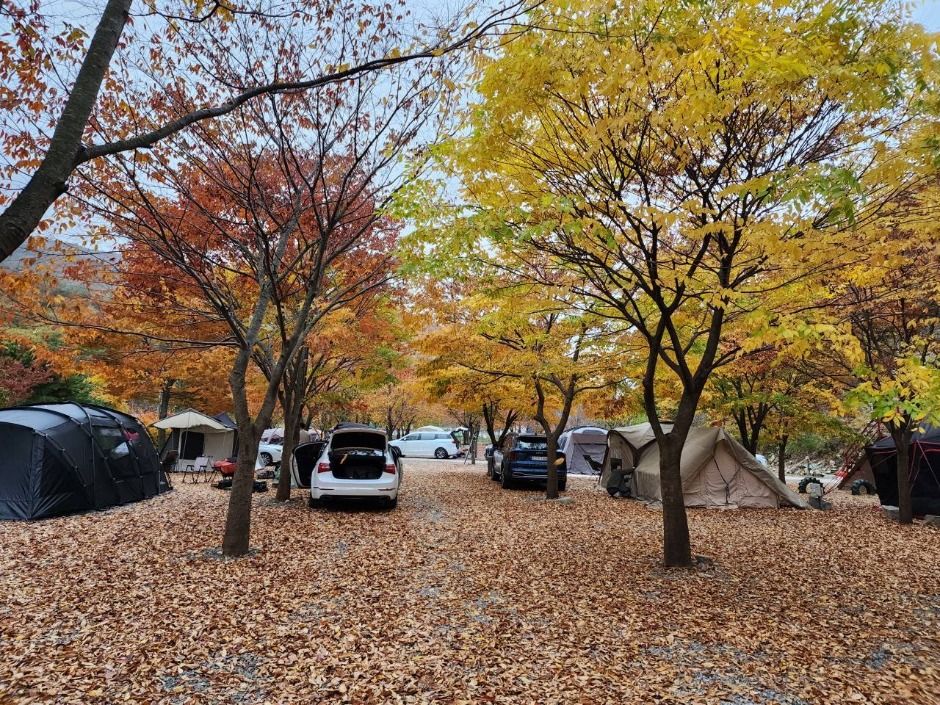 반딧불이캠핑장 장소 사진