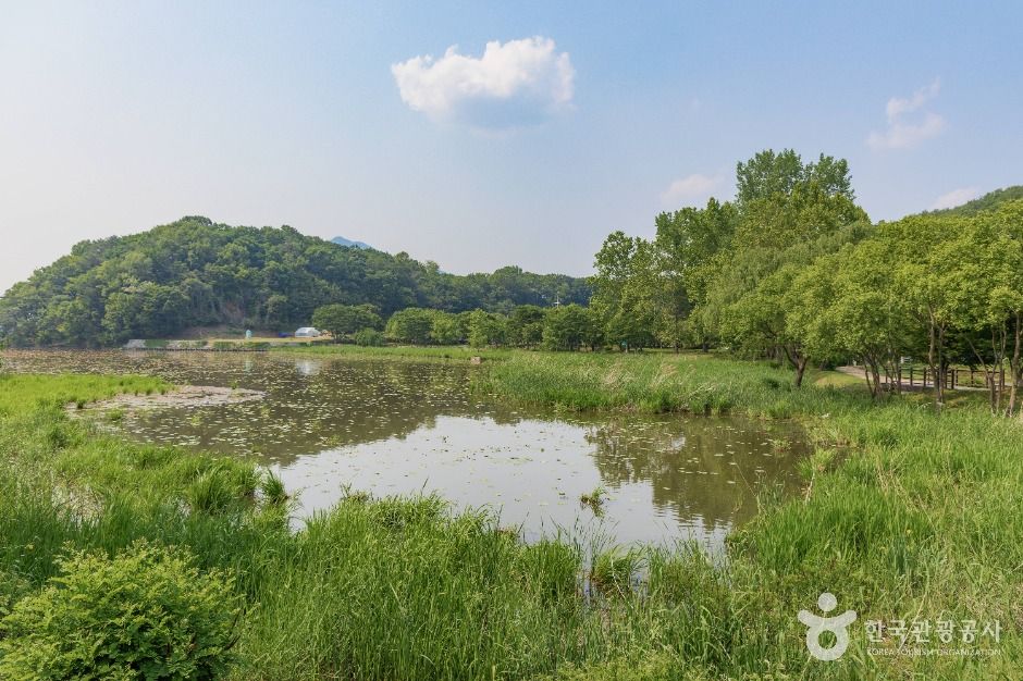 다산생태공원 공식 관광자료 제공 사진 실제 사진